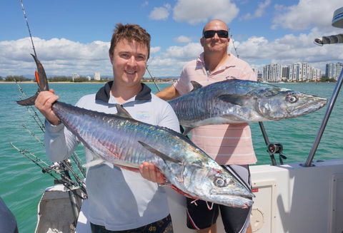 BKs Gold Coast Fishing Charters - Accommodation Mt Buller 6