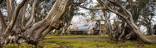 High Country Scenic Tours - Accommodation Mt Buller