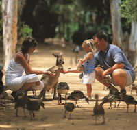 Billabong Sanctuary - Accommodation Mt Buller