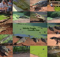 The Malcolm Douglas Crocodile Park - Accommodation Mt Buller