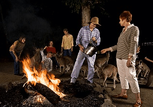 Cairns Night Zoo - Accommodation Mt Buller 0