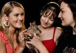 Cairns Night Zoo - Accommodation Mt Buller 1