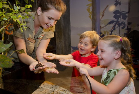 WILD LIFE Sydney Zoo - Accommodation Mt Buller 1
