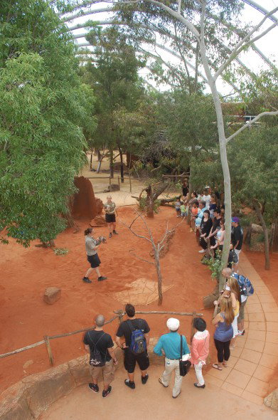 WILD LIFE Sydney Zoo - Accommodation Mt Buller 2