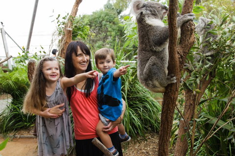 WILD LIFE Sydney Zoo - Accommodation Mt Buller 3