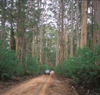Boranup Drive - Accommodation Mt Buller