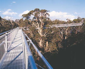  Accommodation Mt Buller