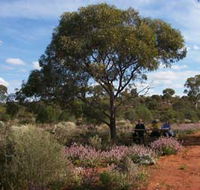 Karlkurla Bushland Park - Accommodation Mt Buller