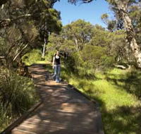 Leschenault Peninsula Conservation Park - Accommodation Mt Buller