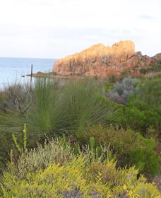 Meelup Trail - Accommodation Mt Buller 0