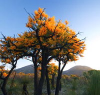 Cape Le Grand National Park - Accommodation Mt Buller