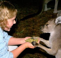 Discovery Bay's Walk on the Wild Side - Accommodation Mt Buller