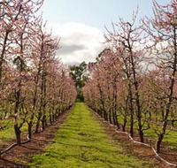 Raeburn Orchards - Accommodation Mt Buller