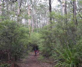  Accommodation Mt Buller