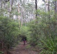 Margaret River Rails Trail - Accommodation Mt Buller