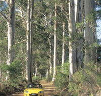 Scotsdale Tourist Drive - Accommodation Mt Buller
