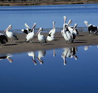 Peel Region Canoe Trails - Accommodation Mt Buller