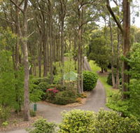 Mount Lofty Botanic Garden - Accommodation Mt Buller