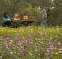 Gwambygine Park - Accommodation Mt Buller