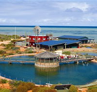 Ocean Park Aquarium - Accommodation Mt Buller