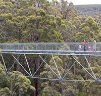 Walpole Wilderness Discovery Centre - Accommodation Mt Buller