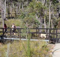 Forest Path Crooked Brook - Accommodation Mt Buller