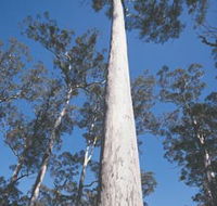 The Four Aces - Accommodation Mt Buller