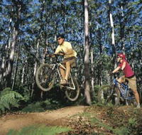 Leeuwin-Naturaliste National Park - Cowaramup - Accommodation Mt Buller