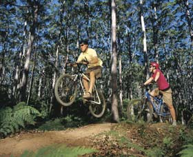 Leeuwin-Naturaliste National Park - Cowaramup - Accommodation Mt Buller 0