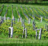 Sienna Estate Winery - Accommodation Mt Buller