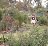 The Mythic Mazes - Accommodation Mt Buller