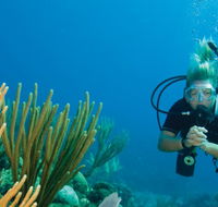 Coastal Water Dive - Accommodation Mt Buller