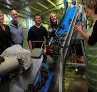 Eyre Peninsula's Seafood Trail - Accommodation Mt Buller