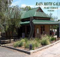 Rain Moth Gallery - Accommodation Mt Buller