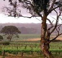Yangarra Estate Vineyard