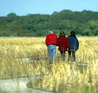 Onkaparinga River Recreation Park - Accommodation Mt Buller