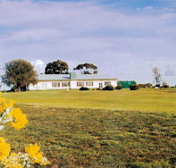 Lucindale Country Club - Accommodation Mt Buller