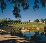 Mount Hurtle Winery home of Geoff Merrill Wines - Accommodation Mt Buller