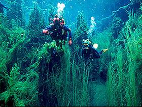 Port Macdonnell SA Accommodation Mt Buller