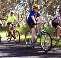 Penola Cycling Trails - Accommodation Mt Buller