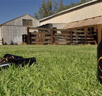 Wilkadene Woolshed Brewery - Accommodation Mt Buller