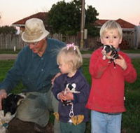 Orrie Cowie Merino and Poll Merino Stud - Accommodation Mt Buller