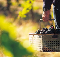 Burge Family Winemakers - Accommodation Mt Buller