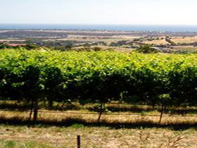 Braydun Hill Vineyard - Accommodation Mt Buller 0
