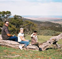 Bridle Track - Accommodation Mt Buller