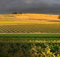 Kellermeister Wines - Accommodation Mt Buller