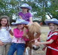 Amberainbow Pony Rides - Accommodation Mt Buller
