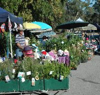 Meadows Monthly Market - Accommodation Mt Buller