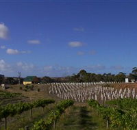 Deep Creek Wines and Alpacas - Accommodation Mt Buller