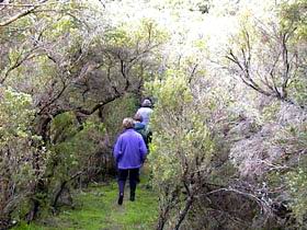 Jack And Hilda McArthur Walk - Accommodation Mt Buller 0